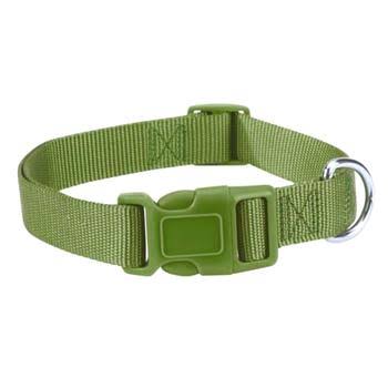 Casual Canine Nylon Dog Collar - Parrot Green - 18-26" Length