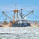 ABN AMRO: Nederlandse visserij zal komende jaren flink krimpen