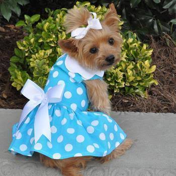 Blue Polka Dot Dog Dress with Matching Leash by Doggie Design - Small