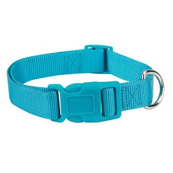Casual Canine Nylon Dog Collar - Bluebird - 10-16" Length