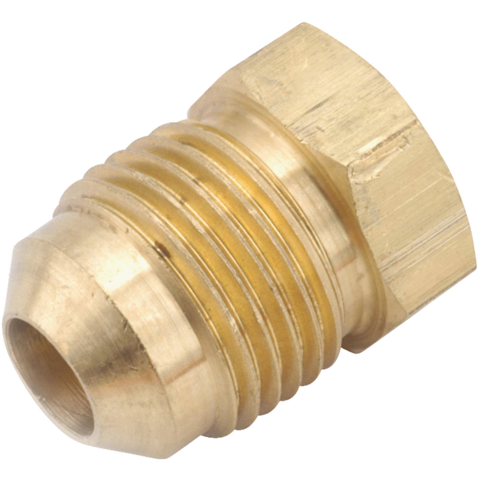 Anderson Metals Corporation Metal Plug Flare - Brass, 5/8"