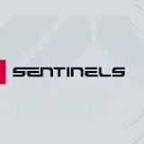 Is the Sentinels Valorant roster Officially back in Business?