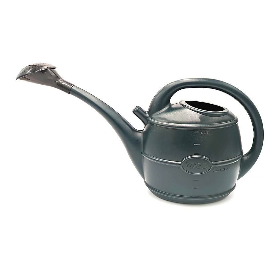 Ward Watering Can - Green, 10 Litre