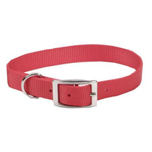 Coastal Pet 00601 B Red16 3/4 inch by 16 inch Red Nylon Dog Collar