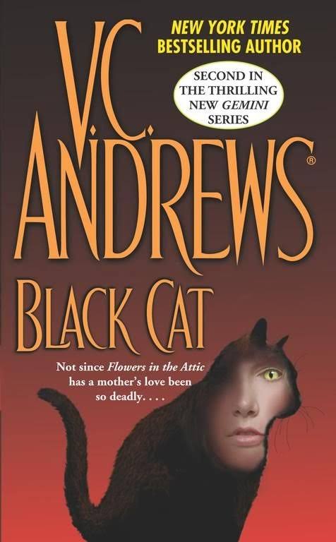 Black Cat [Book]