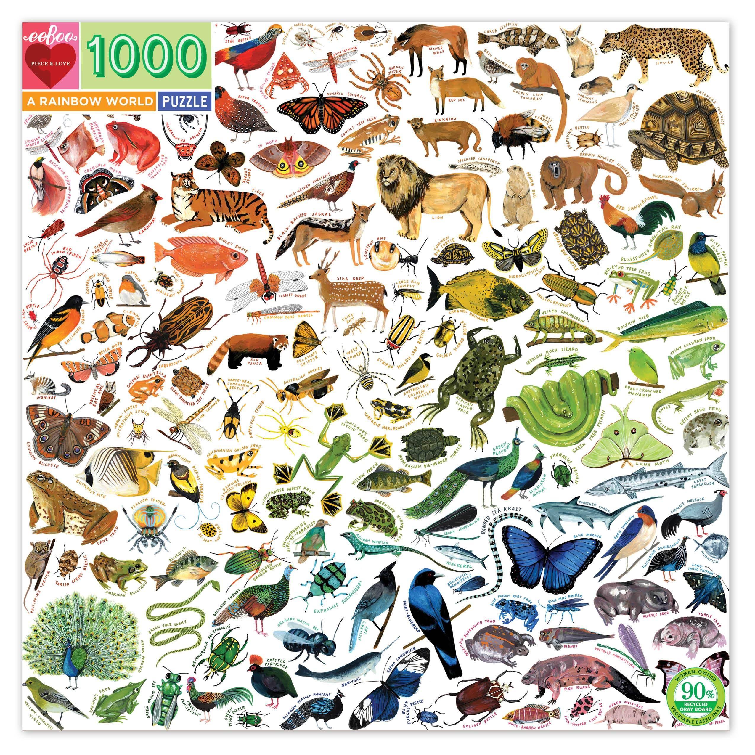 eeBoo - Puzzle - A Rainbow World - 1000 Piece