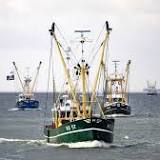 Nederlandse vissersvloot moet fors krimpen: onzekerheid voor Urker vissers