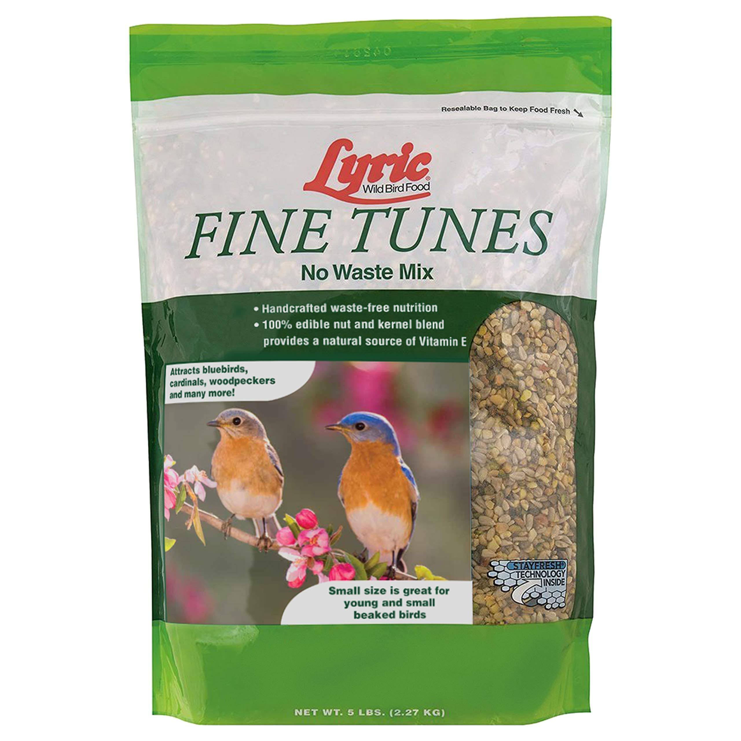Lyric Fine Tunes No Waste Mix Bird Food - 5lb