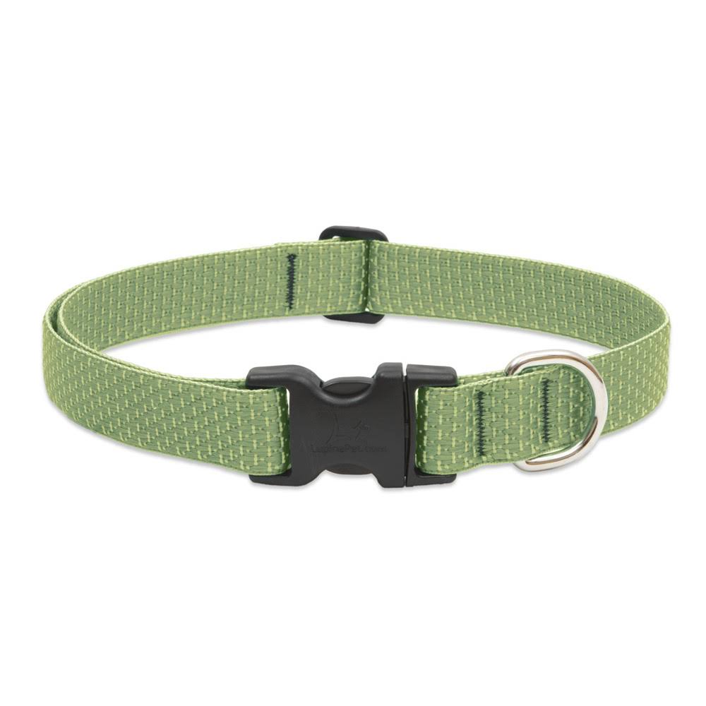 Lupine Eco Dog Collar Moss - 14 in