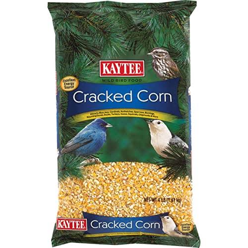 Kaytee Cracked Corn Bird Food - 4lbs