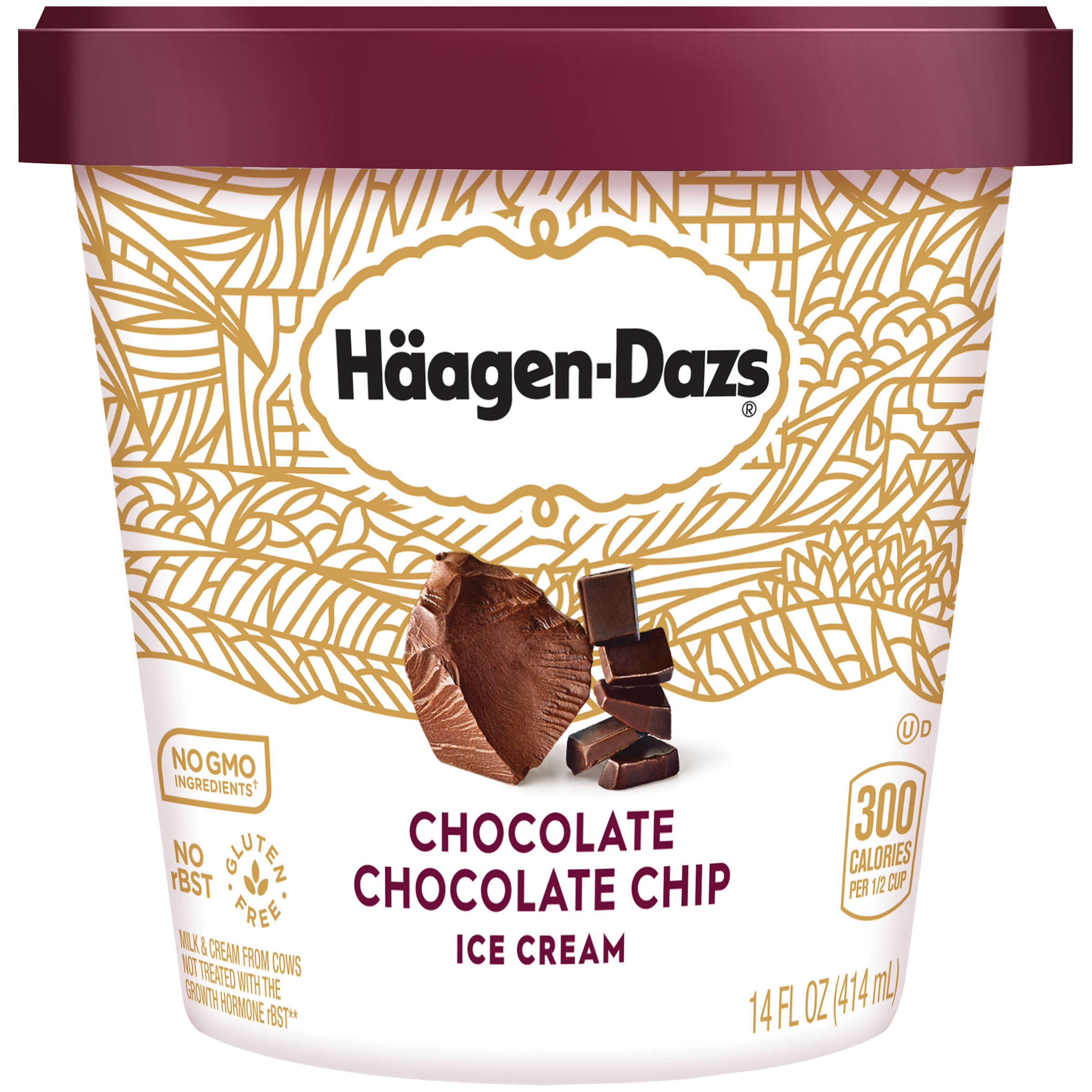 Haagen-Dazs Ice Cream - Chocolate Chocolate Chip