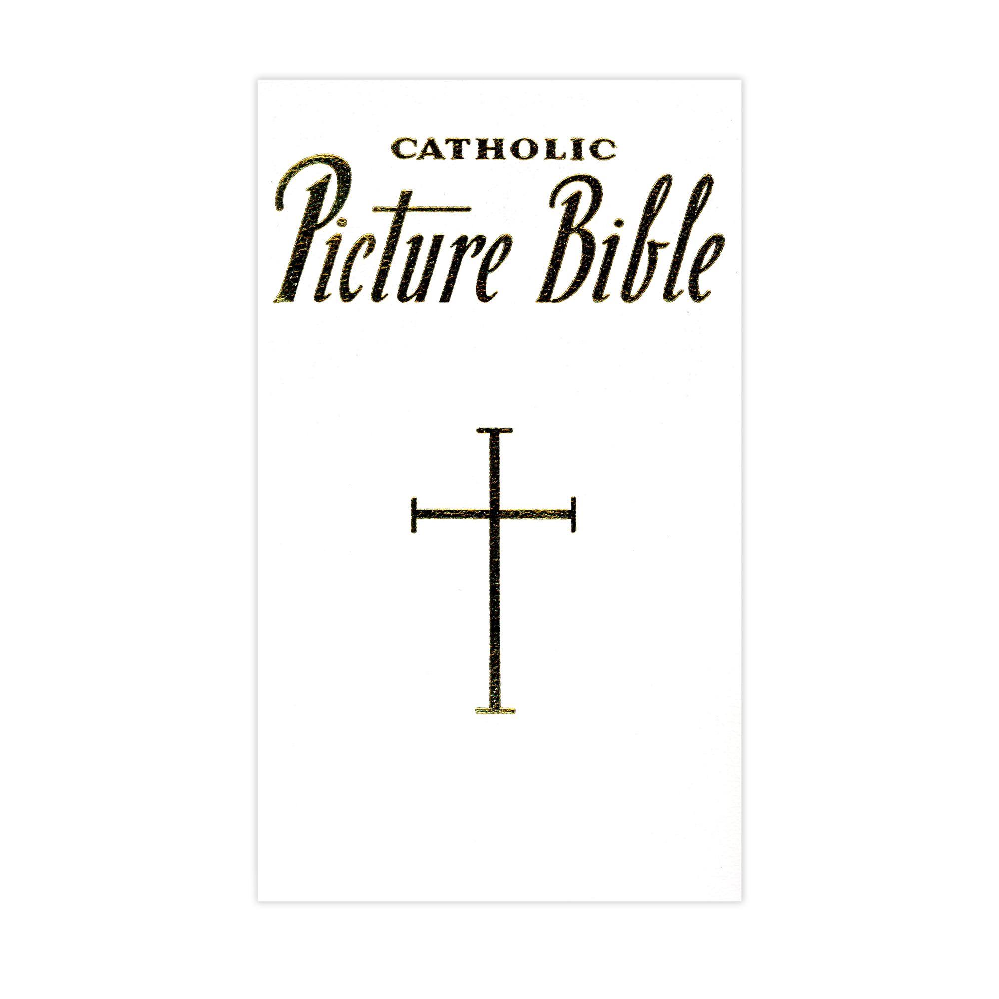 New Catholic Picture Bible: Popular Stories from the Old and New Testaments - Lawrence Lovasik