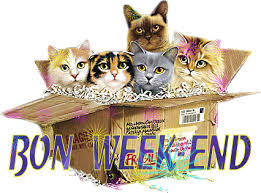 http://t1.gstatic.com/images?q=tbn:twnZU4Kyux5W9M:http://www.joliecarte.com/images/carte/week_end/bl2rwoy9.gif